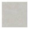 ALBERDI - PORCELANATO TITANIO  80X80 1° (1.28)