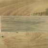 ILVA - HOME LEGNI TROPICAL NAT 1° 22.5X90 (1.22)