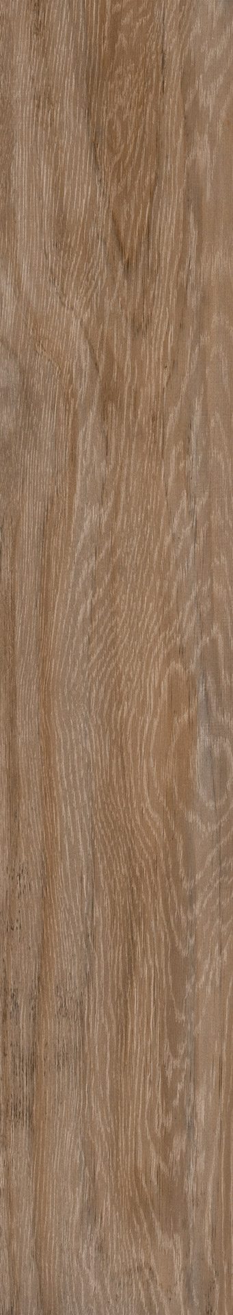 LUME - MEGGAGRES - ARBOL TAUPE 20X120 (2.18)